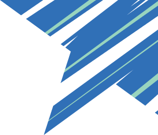 Rockstar Energy Drink Blueberry Zero Sugar